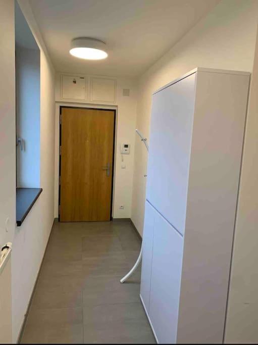 Apartman Holesovice,Balkon,Garaz Прага Екстериор снимка